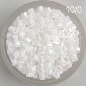 DBM-0202