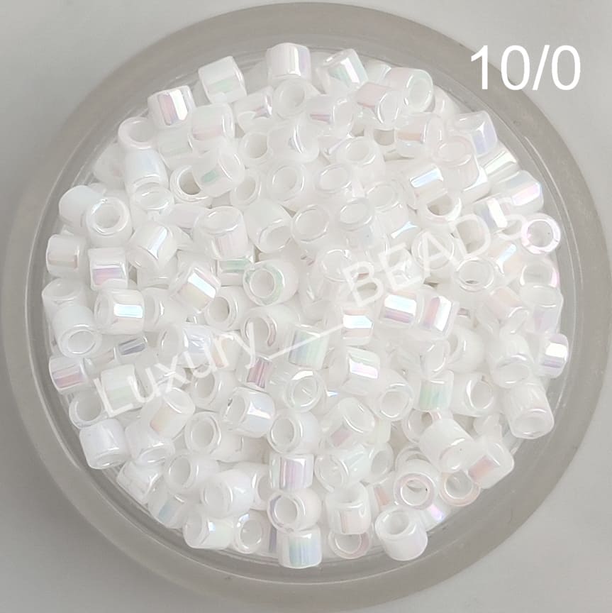 DBM 0202